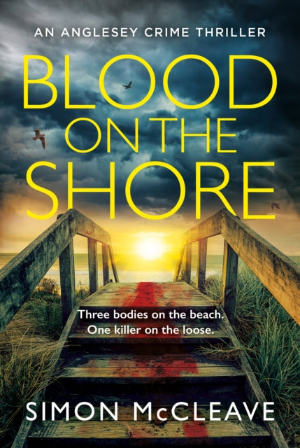 Blood on the Shore (The Anglesey Series, Book 3)