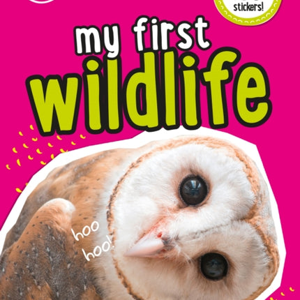 i-SPY My First Wildlife: Spy it! Stick it! (Collins Michelin i-SPY Guides)