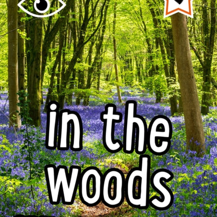 iSPY in the Woods Spy it Score it Collins