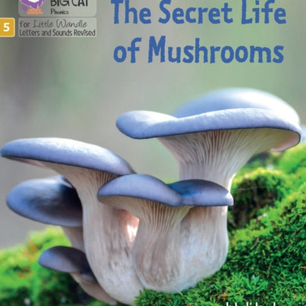 The Secret Life of Mushrooms: Phase 5 Set 4 Stretch and challenge (Big Cat Phonics for Little Wandle Letters and Sounds Revised)