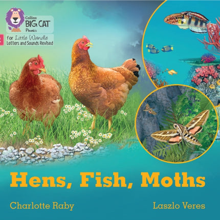 Hens, Fish, Moths: Phase 2 Set 5 Blending practice (Big Cat Phonics for Little Wandle Letters and Sounds Revised)