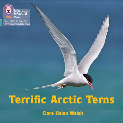 Terrific Arctic Terns: Phase 3 Set 2 (Big Cat Phonics for Little Wandle Letters and Sounds Revised)