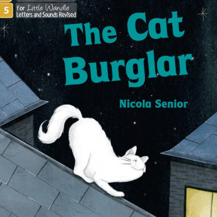 Big Cat Phonics for Little Wandle Letters and Sounds Revised – Age 7+ – The Cat Burglar: Phase 5 Set 1