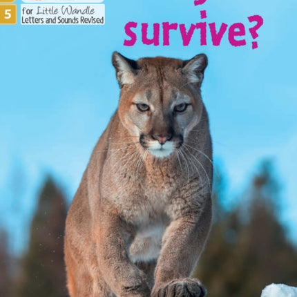 Big Cat Phonics for Little Wandle Letters and Sounds Revised – Age 7+ – Can you survive?: Phase 5 Set 4