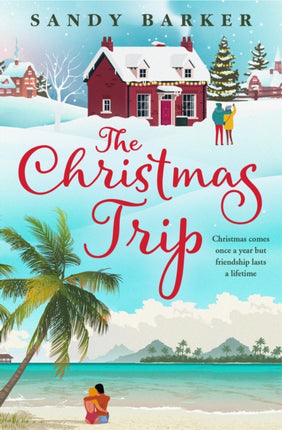 The Christmas Trip (The Christmas Romance series, Book 2)