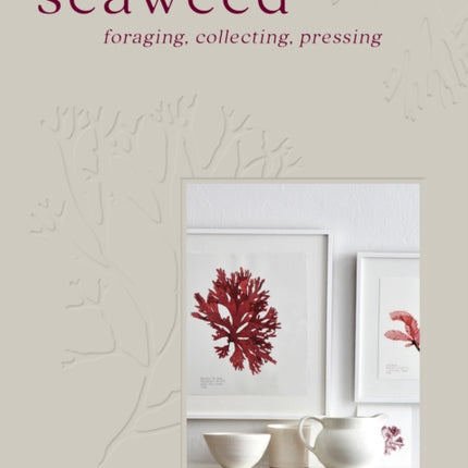 Seaweed: Foraging, Collecting, Pressing