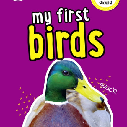 iSPY My First Birds