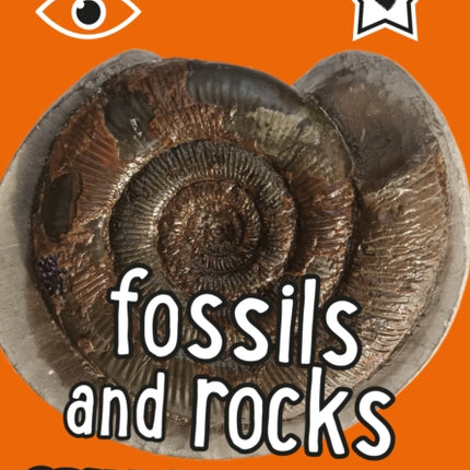 iSPY Fossils and Rocks