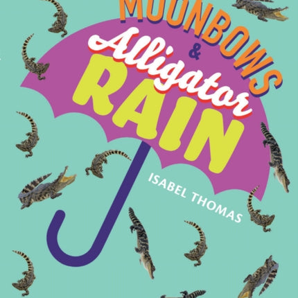 Big Cat for Little Wandle Fluency – Moonbows and Alligator Rain: Fluency 7