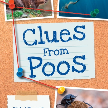 Big Cat for Little Wandle Fluency  Clues from