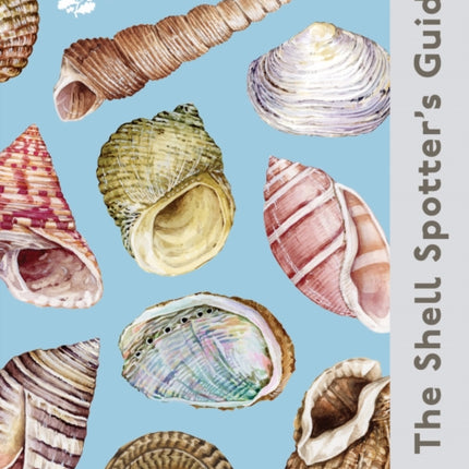 The Shell Spotters Guide