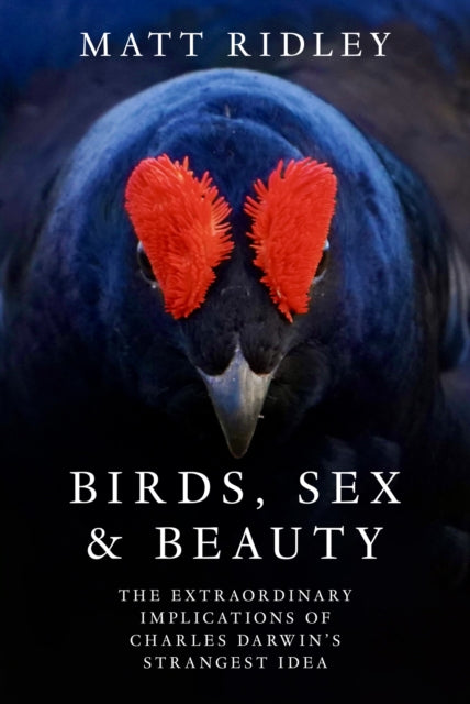 Birds Sex and Beauty