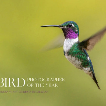 Bird Photographer of the Year (Bird Photographer of the Year)