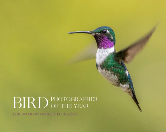 Bird Photographer of the Year (Bird Photographer of the Year)