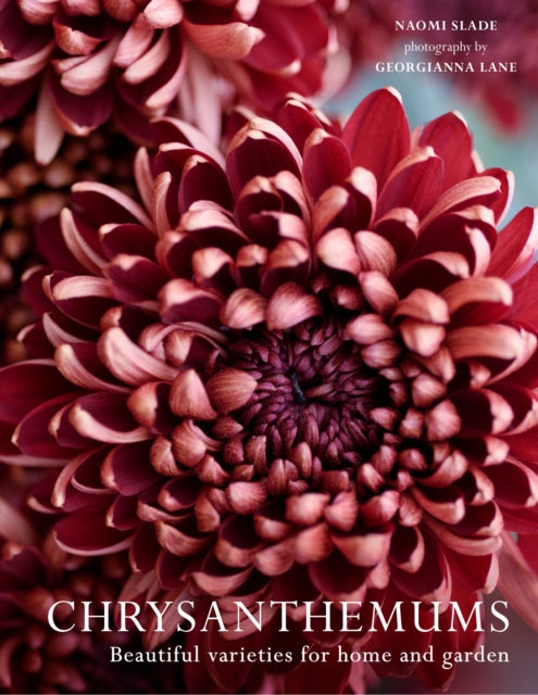 Chrysanthemums