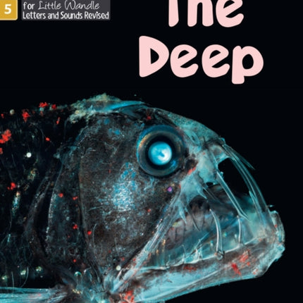 The Deep