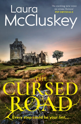 Laura McCluskey Crime Novel 2
