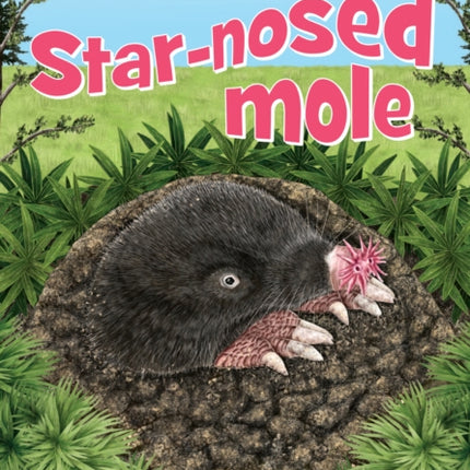 Starnosed Mole