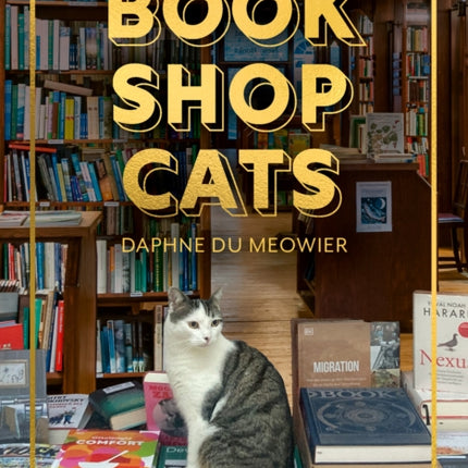 Bookshop Cats