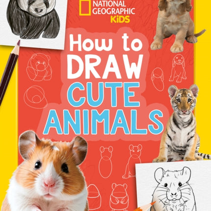 How to Draw Cute Animals