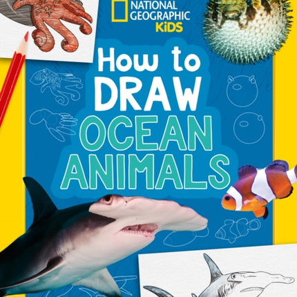 How to Draw Ocean Animals
