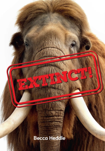 Fluency 2 Nonfiction