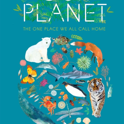 Our Planet
