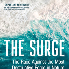 Collection image for: Social impact of disasters Books