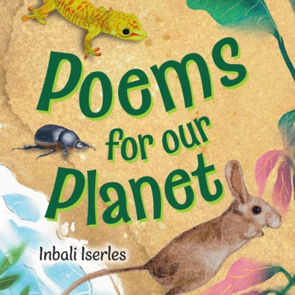 Fluency 1115 NonFiction 7