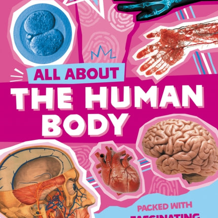 The Human Body