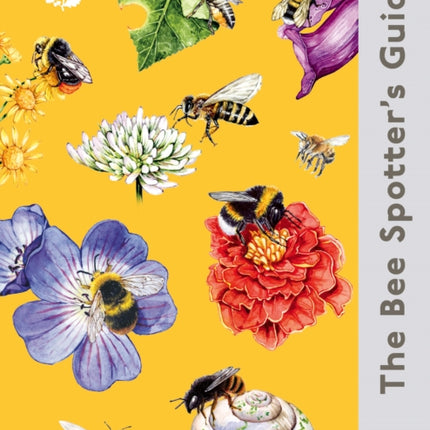 The BeeSpotters Guide