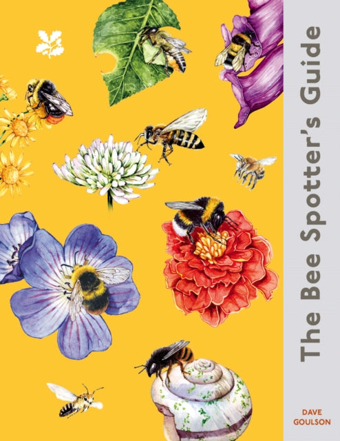 The BeeSpotters Guide