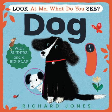 Look at Me What Do You See Dog