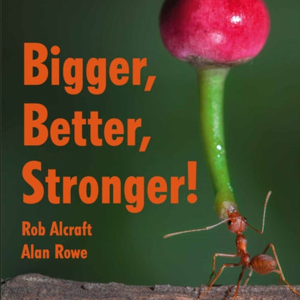 Bigger Better Stronger