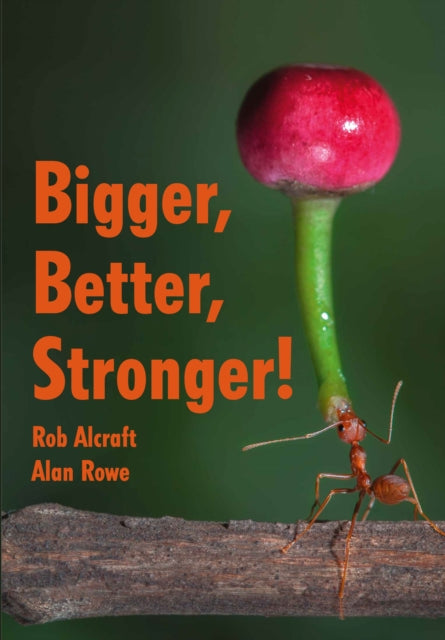 Bigger Better Stronger