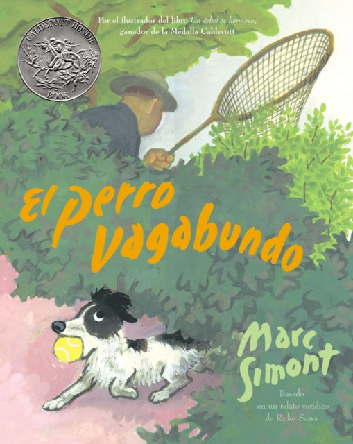 El Perro Vagabundo: The Stray Dog (Spanish Edition), a Caldecott Honor Award Winner