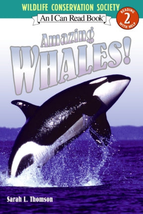 Amazing Whales!