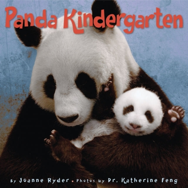 Panda Kindergarten