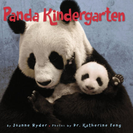 Panda Kindergarten