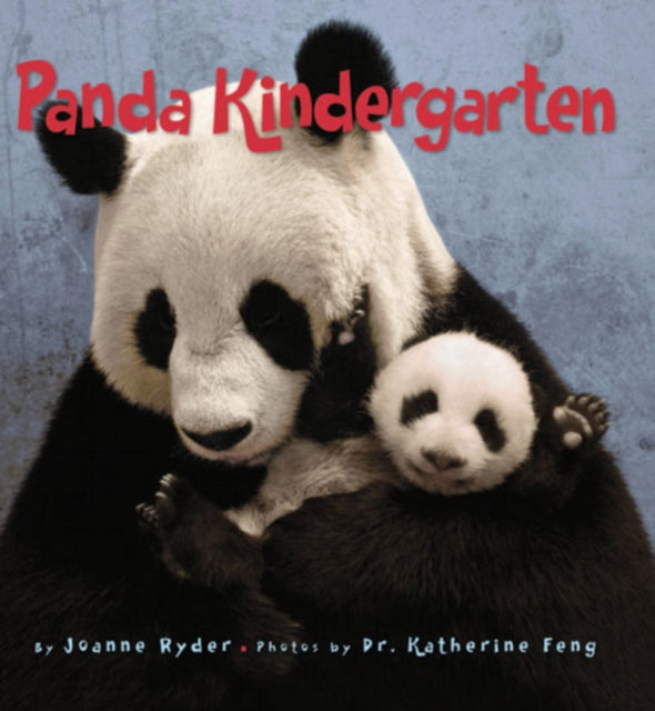 Panda Kindergarten