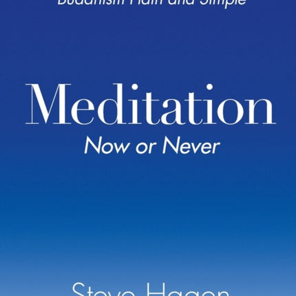 Meditation Now or Never