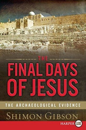 The Final Days of Jesus LP