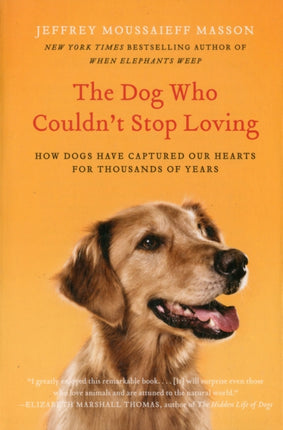The Dog Who Couldnt Stop Loving