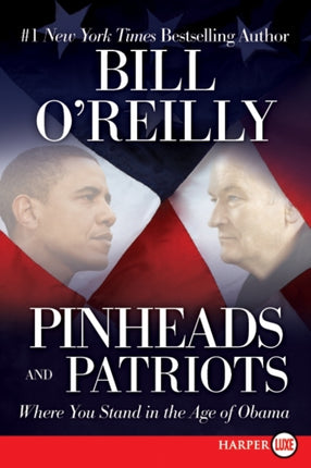 Pinheads and Patriots: Your Place in a Changing America Large Print