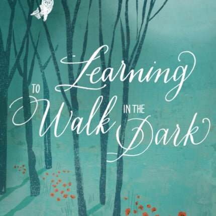 Learning to Walk in the Dark