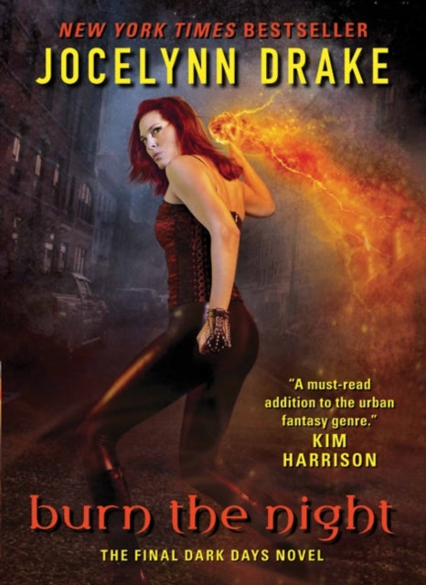 Burn the Night: The Final Dark Days Novel