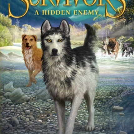A Hidden Enemy