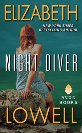 Night Diver