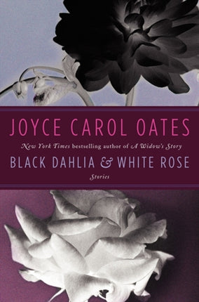 Black Dahlia  White Rose