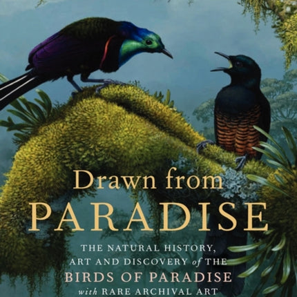 Drawn from Paradise: The Natural History, Art and Discovery of the Birds of Paradise with Rare Archival Art